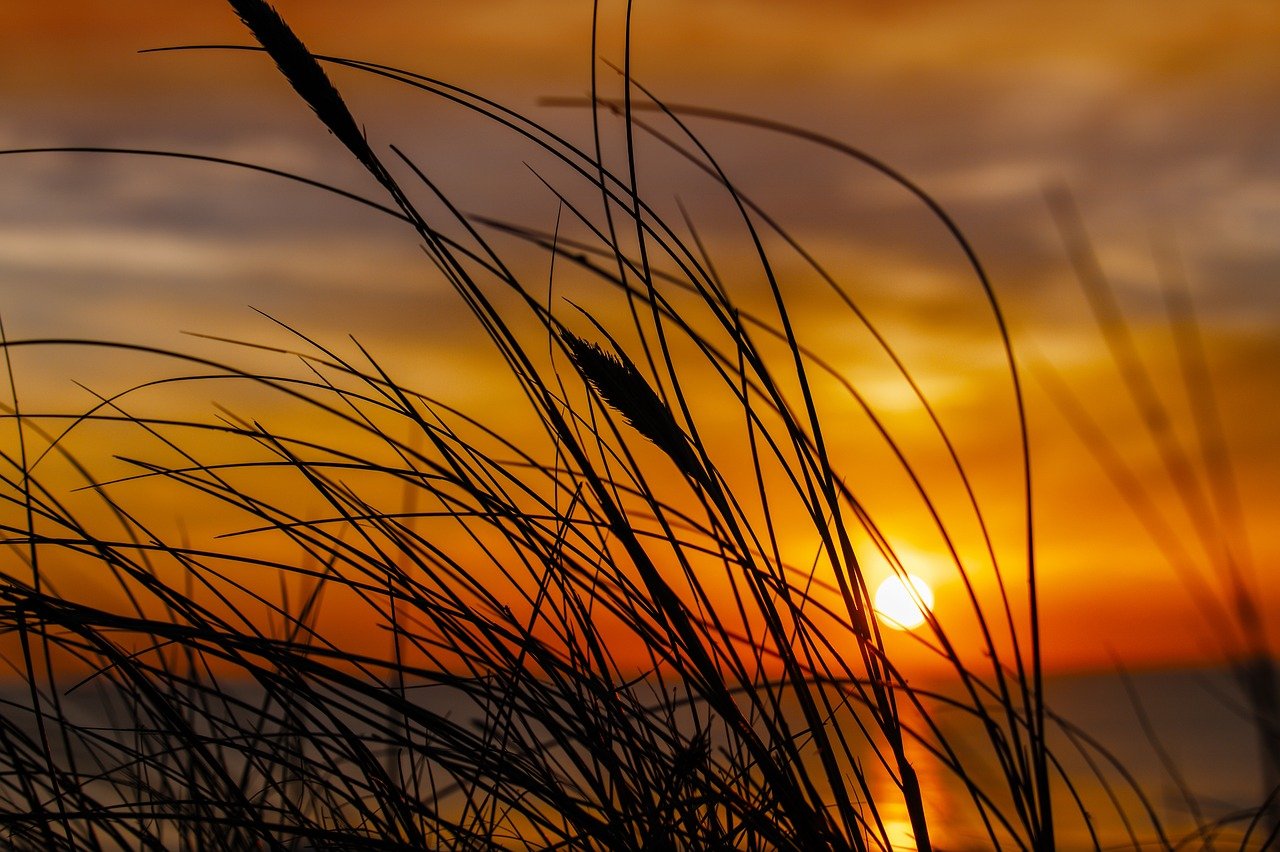 Latest Posts easy healthy recipes heartarkable