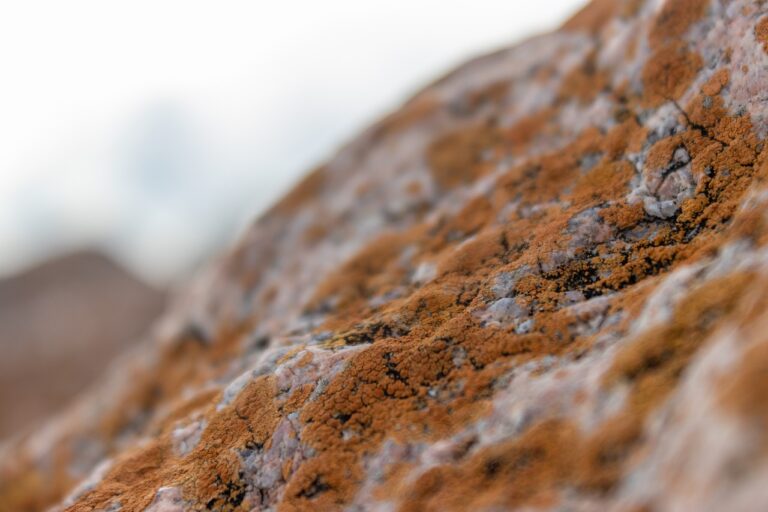 the person you have dialed is not able to receive calls at this time meaning