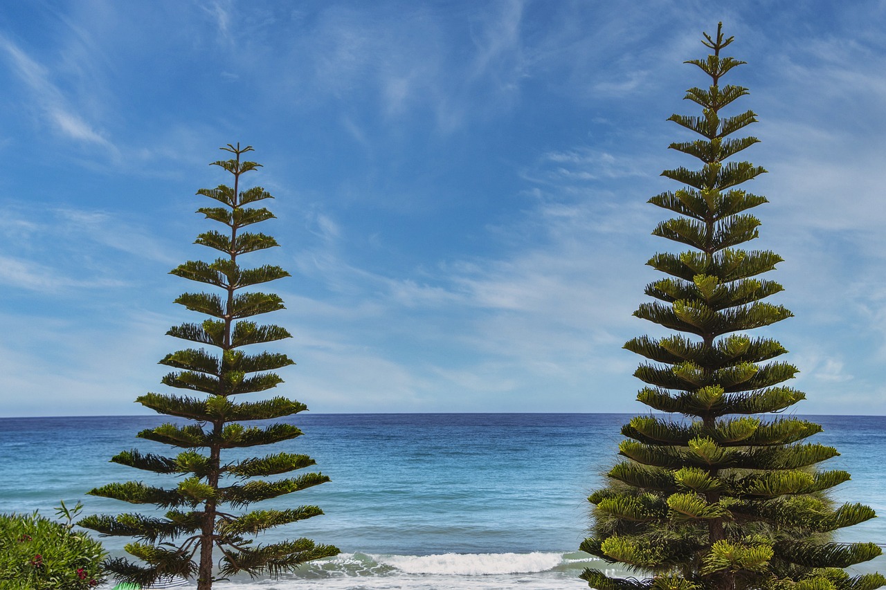 Latest Posts how many days can felmusgano be stored