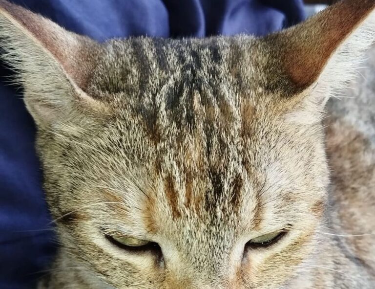 Home 10. which eoc configuration aligns with the on-scene incident organization?