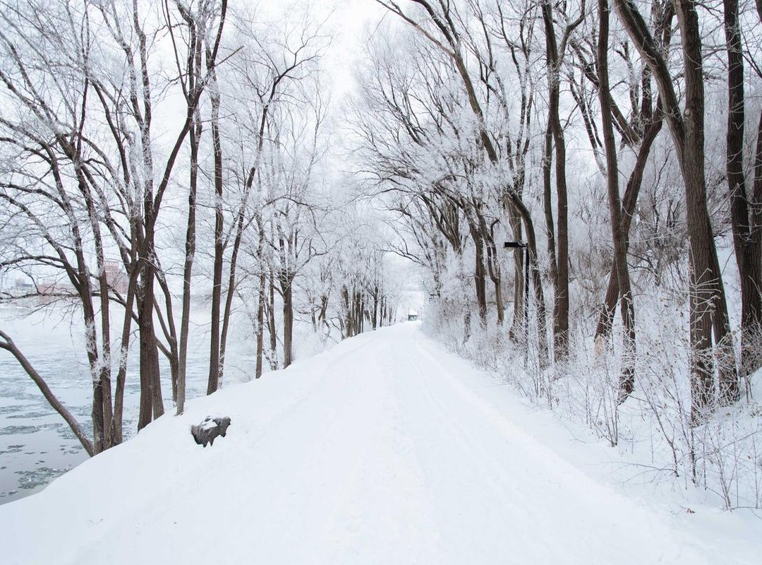 Navigating the App: Is There a 233 Leyuan English Version?