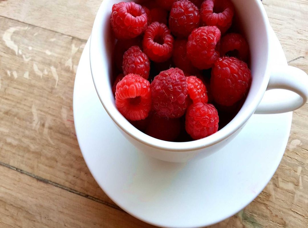 Why Alisonxca Matters: Influence and Public Recognition