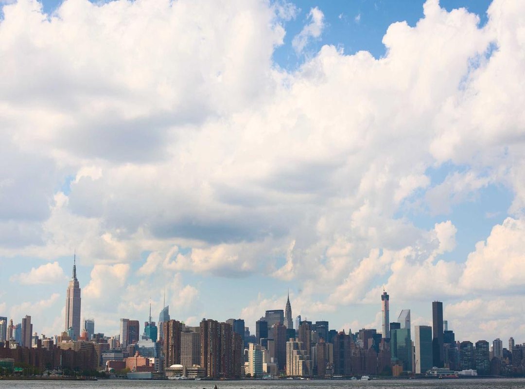 Investigating Pro-Palestine Allegations: Are There Any Connections?