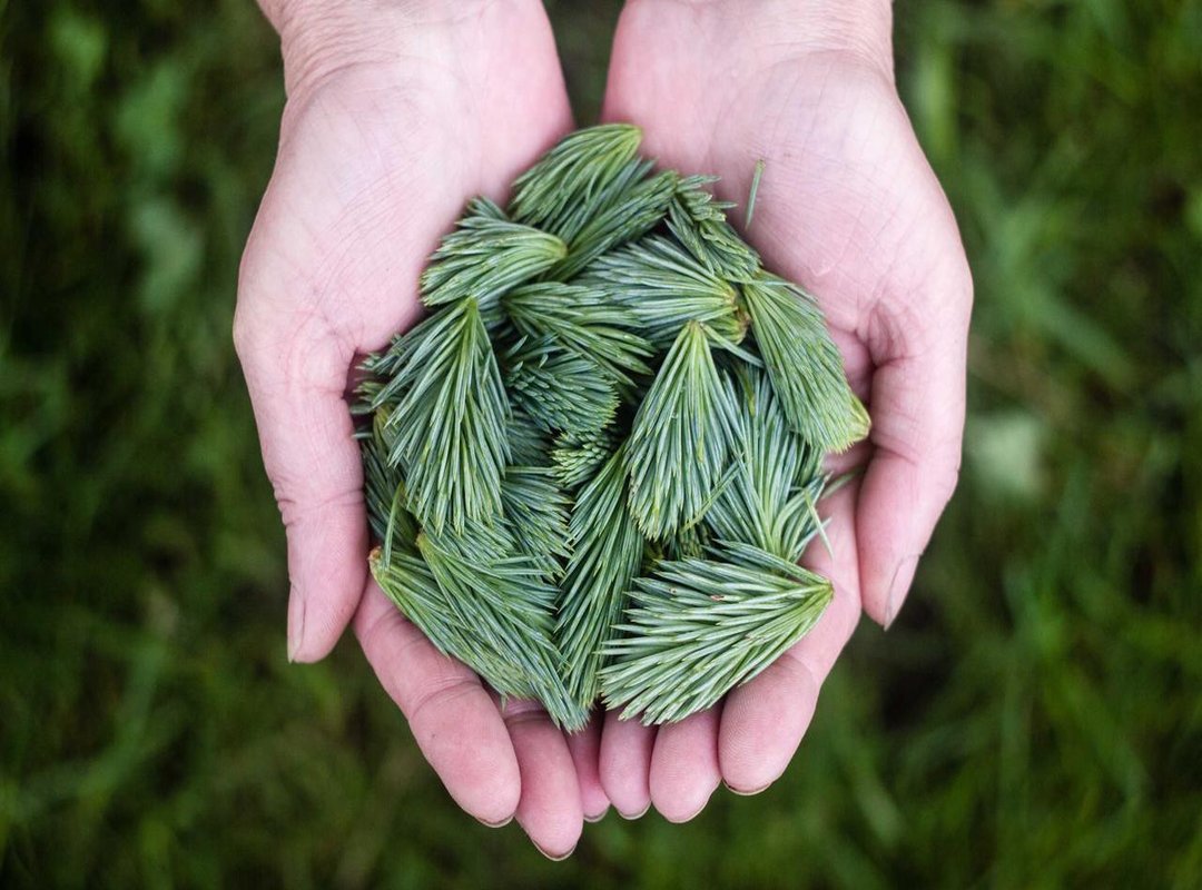 The Reality of Hyper-Speed: What 408 km/h Feels Like