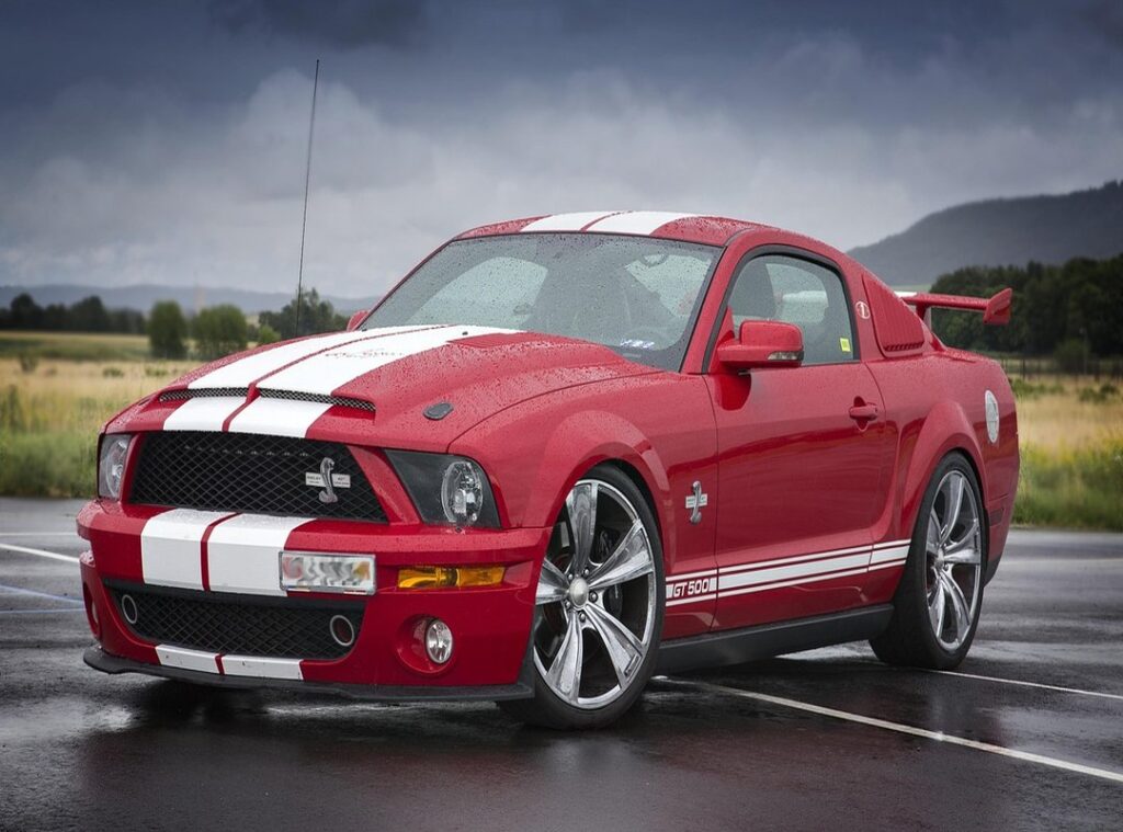 mr iconic shelby