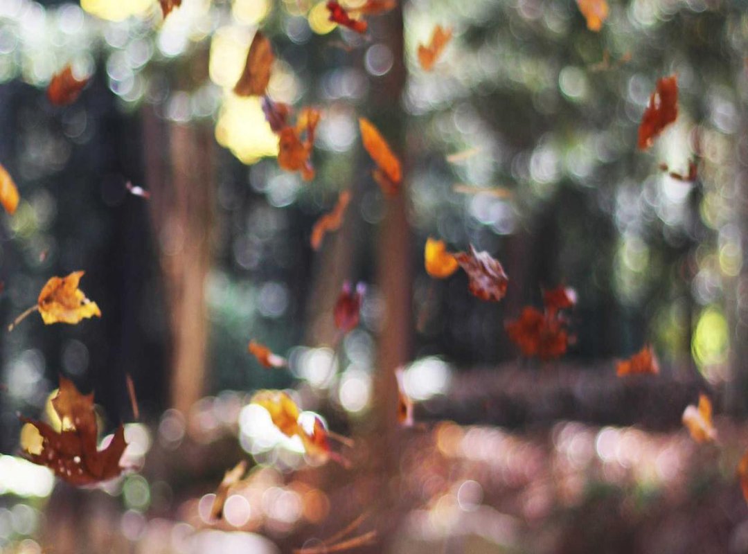 Frequently Asked Questions (FAQs)