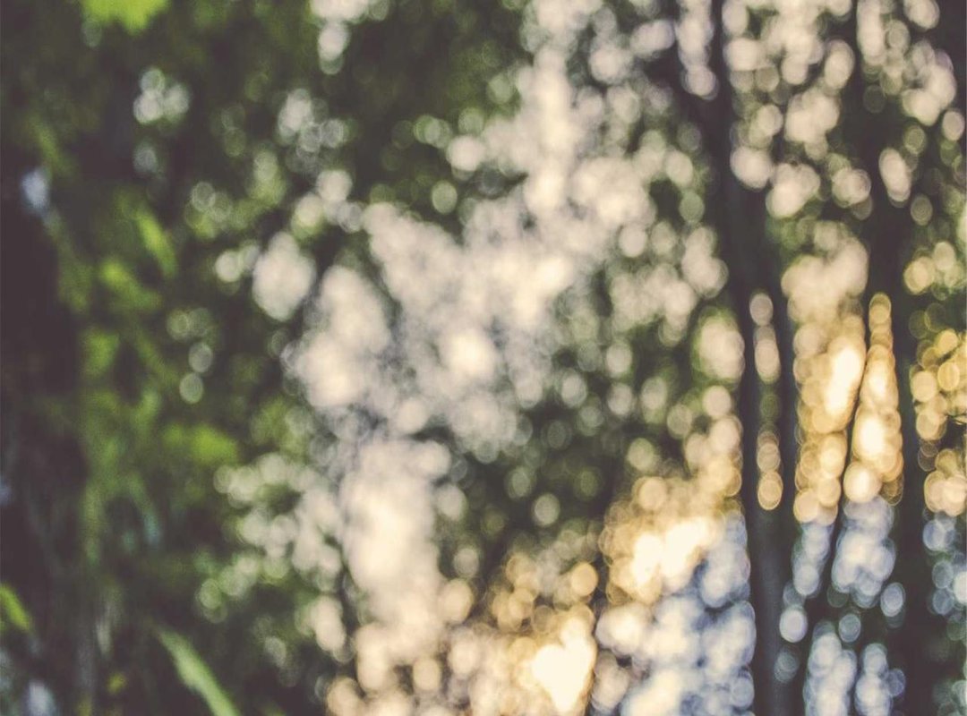 Beyond the Scalpel: The Role of Makeup, Fitness, and Style