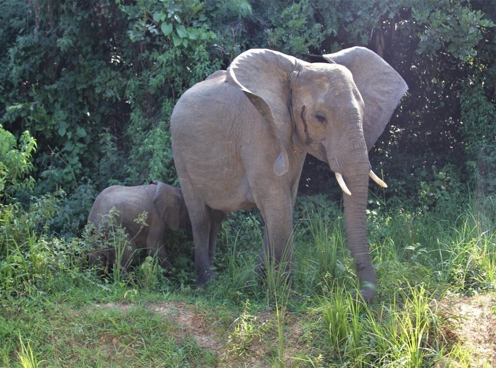 young mother 5